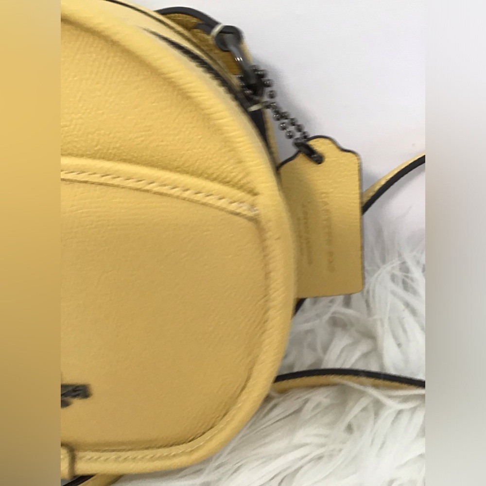 Coach Rare Limited Edition Canteen Crossbody Bag Pristine Condition - Picture 4 of 16